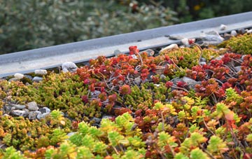 the cost of Lower Heath green roof installation