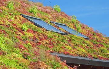 Lower Heath living roof systems